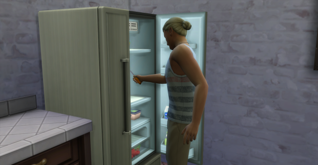 After he finishes the reinforced doors on the fridge to make it break less often.